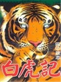 白虎记海报