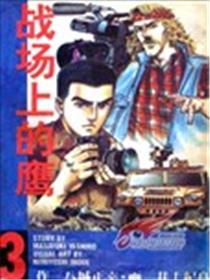 战场上的鹰海报