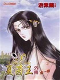 夏茵王外传海报