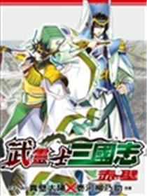 武灵士三国志赤壁海报