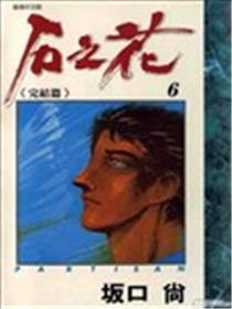 石之花海报