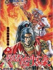 影武者德川家康海报