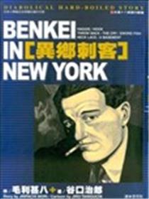 异乡刺客海报