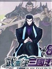 武灵士三国志海报