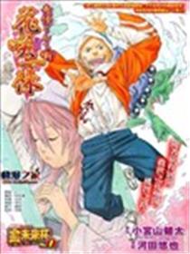 花咲一休海报