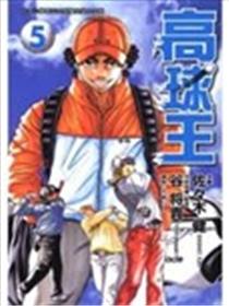 高球王海报