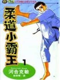 柔道小霸王海报