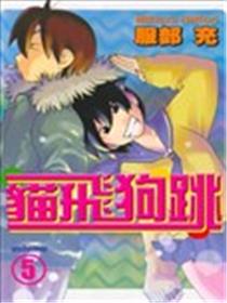 猫飞狗跳海报