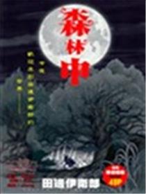 森林中海报