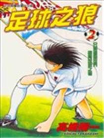 野狼前锋足球传海报