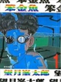 笨金鱼海报