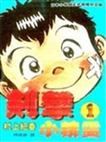 剑击小精灵海报