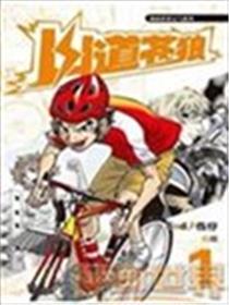 山道苍狼海报