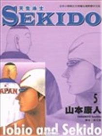 SEKIDO天生泳士海报