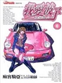 我爱波子海报