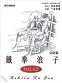 铁拳浪子海报