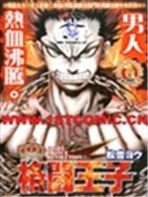格斗王子海报