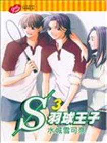 羽球王子海报