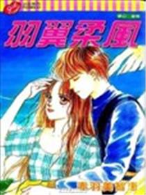 羽翼柔风海报