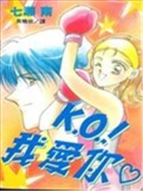 KO!我爱你海报