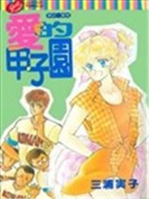 爱的甲子园海报