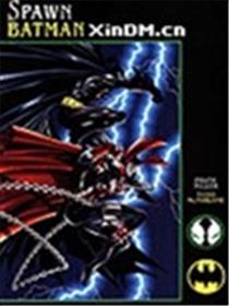 再生侠与蝙蝠侠海报