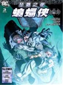 至黑之夜 蝙蝠侠海报
