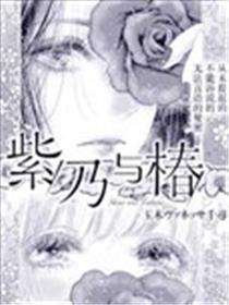 紫乃与椿海报