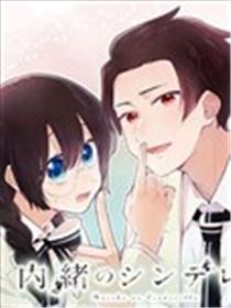 秘密的灰姑娘海报