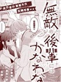 无敌学弟败给你了海报