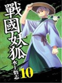 战国妖狐海报
