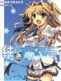 纯白的交响曲海报