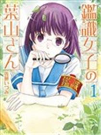 鉴识少女叶山同学海报