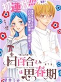白百合正值青春期海报