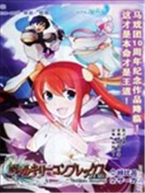 瓦尔基里狂热ZERO海报