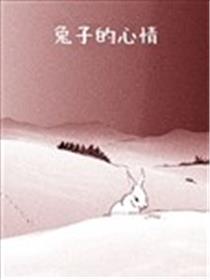 兔子的心情海报