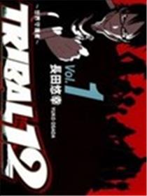 TRIBAL12世界守护者海报