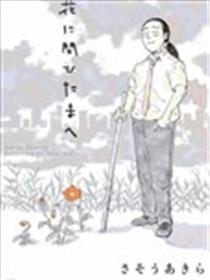 试问花知否海报
