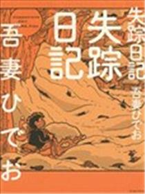 失踪日记海报
