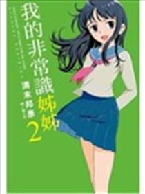 我的非常识姊姊海报