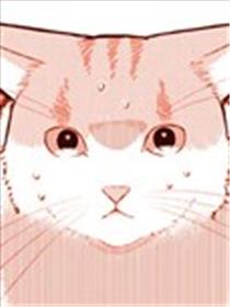偶像猫猫~变成猫猫被偶像养起来了海报