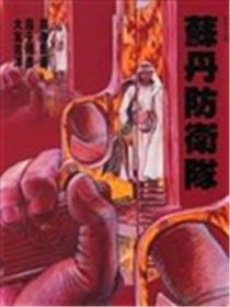 苏丹防卫队海报