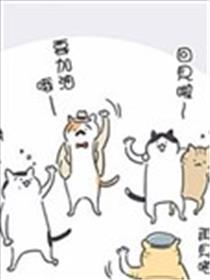 看板猫海报