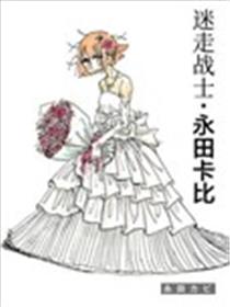 迷走战士海报