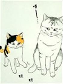 我曾经巨讨厌猫来的海报
