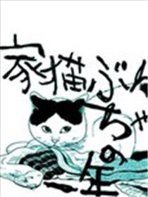 家猫小文的一年海报
