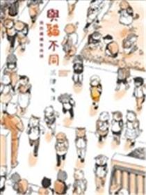 与猫不同海报