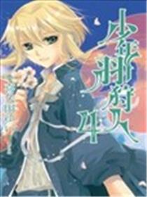 少年羽狩人海报