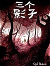 三个影子海报