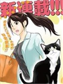 爱猫相伴的玩家小姐海报